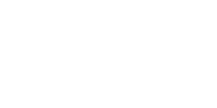 Skydio